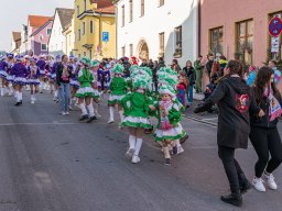 Faschingszug Pressath 2025_79